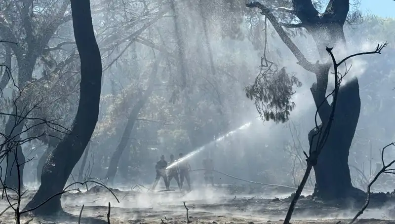Çanakkale, Antalya ve Hatay’daki Yangınlar Nihayet Kontrol Altında!