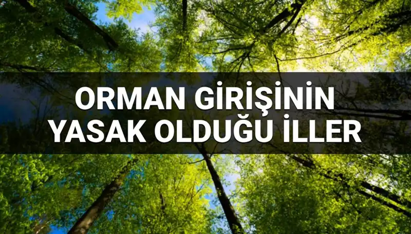 2025'te Hangi İllerde Orman Girişi Yasak? İşte Detaylar!