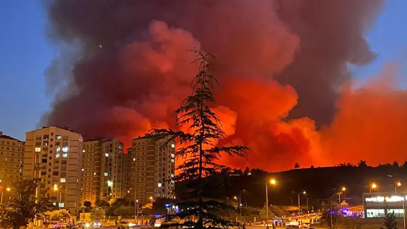 Bursa'daki Yangınlar: Şehrin Doğası ve Yaşamı Tehdit Altında