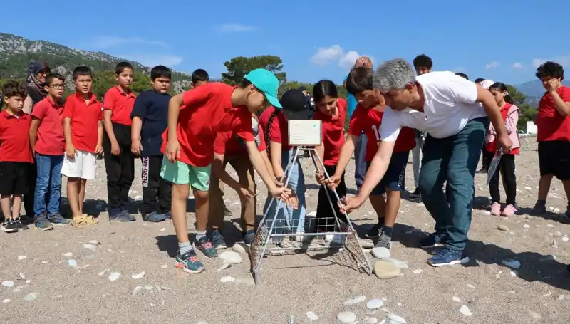 Kemer'de Caretta Caretta Koruma Yasakları Yürürlüğe Girdi