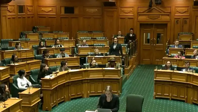 Mecliste Haka Dansı Yapan Vekillere Verilen Uzaklaştırma Cezası Tartışmaları Kızıştırdı
