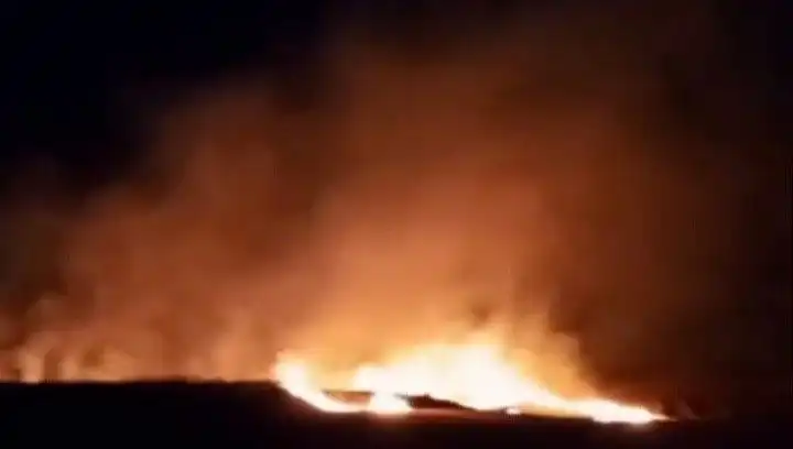 Tekirdağ'da 20 Dekar Buğday Ekili Alan Alevlere Teslim Oldu
