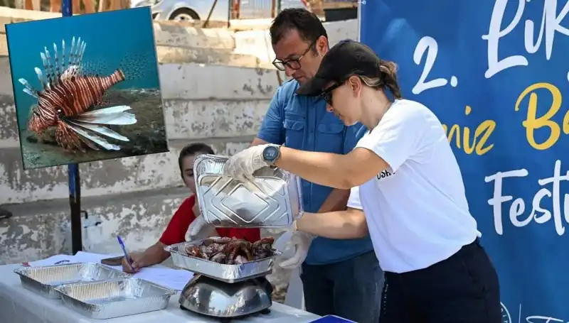 Antalya'da İstilacı Aslan Balığı Avlama Yarışması: Doğanın Korunması İçin Bir Adım