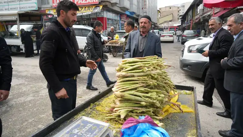 Dağlık Alanların Şifalı Altını: Şekerin Sağlık Faydaları