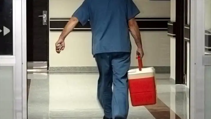 Organ Bağışında Yeni Dönem: e-Devlet ve e-Nabız ile Dönüşüm