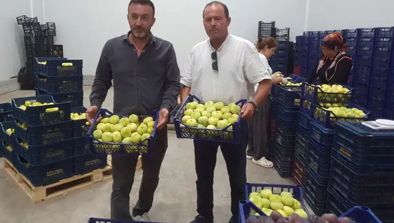 Mersinli Çiftçinin Yüzünü Güldüren İhracat: Tanesi 20 TL!
