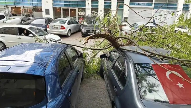Kayseri'de Şiddetli Fırtına: Dalları Kıran Doğa Olayı