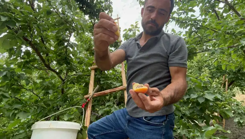 Eşsiz Lezzetiyle 50 TL'den Başlayan Fiyatlarla Satışta!