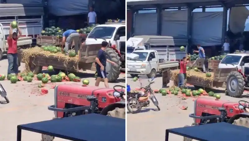 Karpuzları Yere Atıp Parçalayarak Protesto Eden Çiftçilere Şok Eden Cezalar