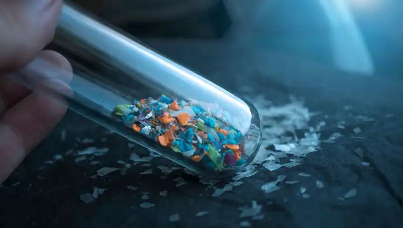 Mikroplastikler İnsan Beyninde Ne Gibi Tehlikeler Oluşturuyor?