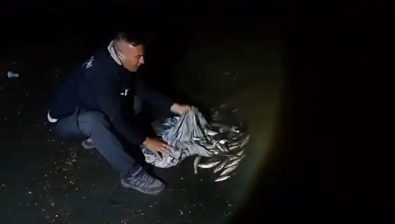 Bir Ton İncik Kefali: Balık Avlama Sezonu Heyecan Dolu!