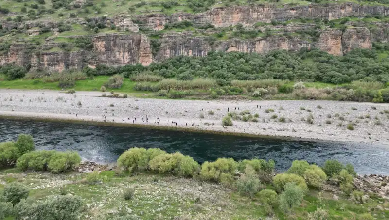 Cehennem Deresi: Doğanın Gizemli Güzelliği ile Serinleten Bir Kaçamak