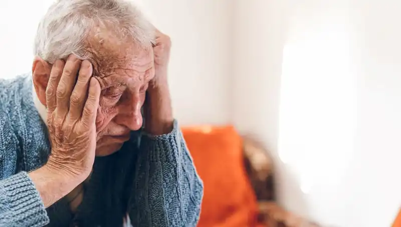 Alzheimer Riskini Azaltan Besinler: Bilim İnsanları Açıkladı!