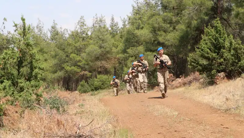 Kilis'te Orman Yangınlarına Karşı Önlemler: Denetimler Artıyor