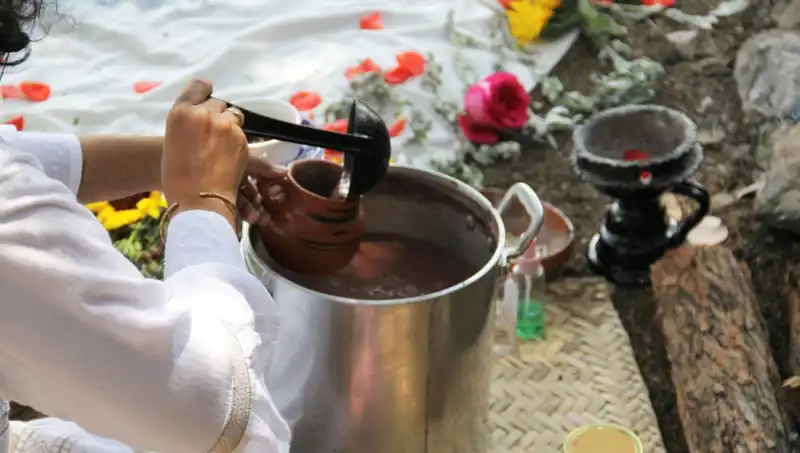 Ayahuasca: Şifa mı, Tehlike mi? Yasaklar ve Gerçekler