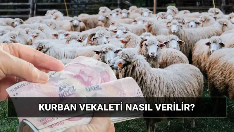 Vekaletle Kurban Kesimi: 2025 Diyanet Bedeli ve Süreçleri
