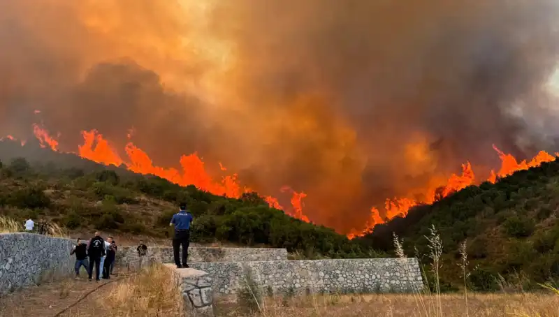 Bursa, Kocaeli ve İzmir’i Kuran Orman Yangınları: Gerekçeleri ve Sonuçları