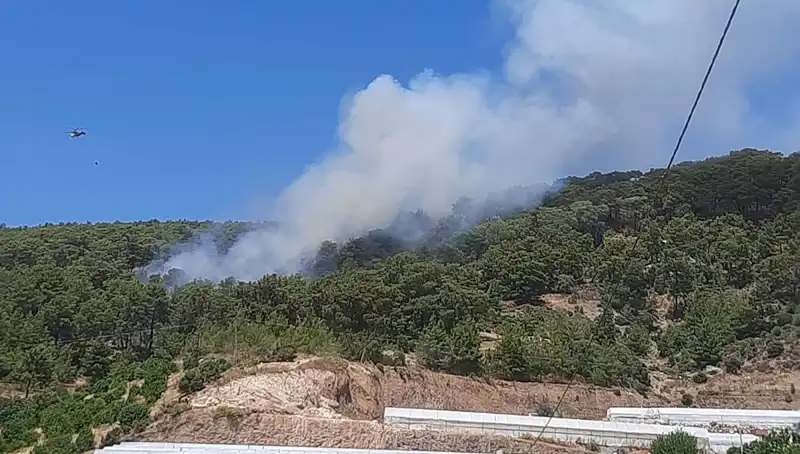 Kumluca'da Yangın Alarmı: Ormanlar Küle Dönerken Neler Yaşandı?