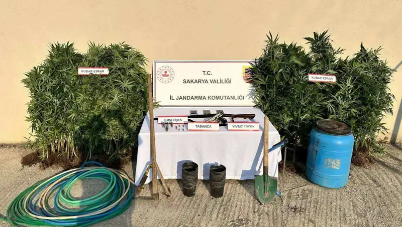 Sakarya'da Uyuşturucu Operasyonu: Güvenlik Güçleri Harekete Geçti