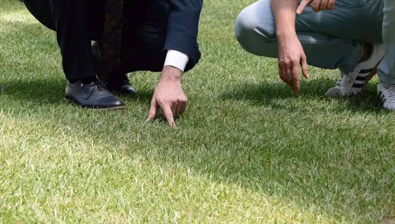 Yeni Stadyum Zemininin Son Durumu: 10 Gün İçinde Hazır Olacak!