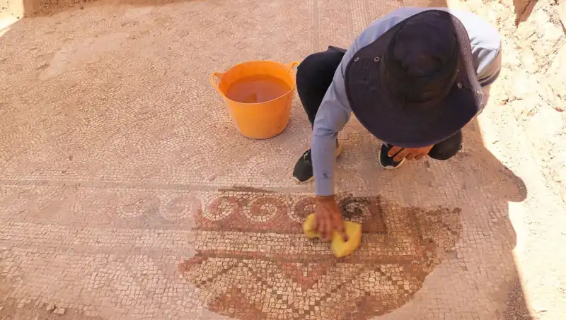 Mardin'de Bin 500 Yıllık Tarihi Mozaik Bulundu: Keşif Arkeolojiyi Salladı!