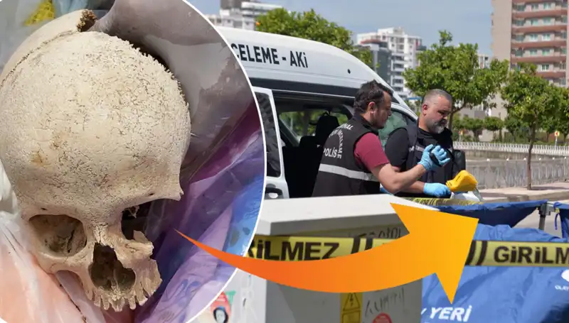 Sitenin Çöpünden Çıkan Kafatasının Şaşırtan Hikayesi ve Gözaltındaki Uzman Doktor