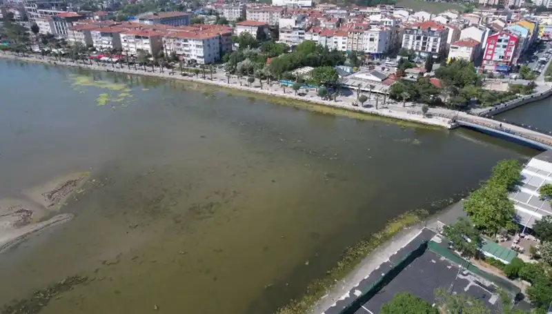 Marmara Denizi'nde Endişe Verici Gelişmeler: Risk Altında Olabilir mi?