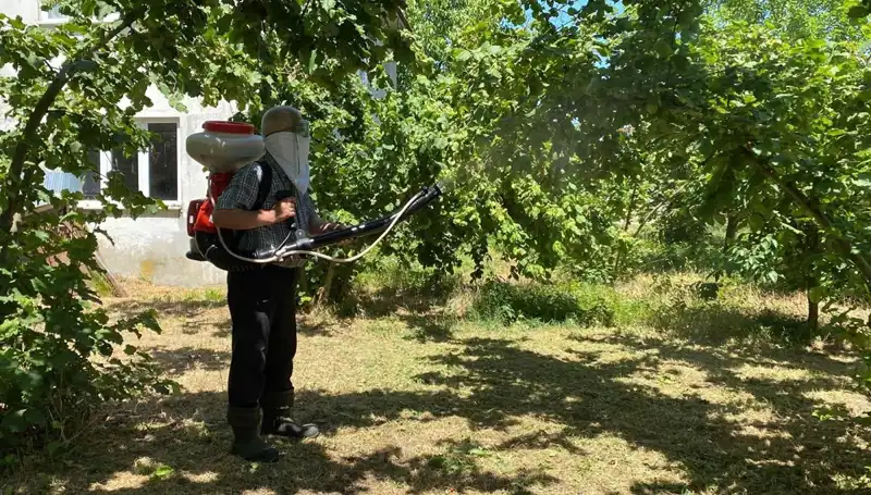 Çiftçilerin Yeni Umudu: Kükürt ve Samuray Arısı ile Mücadele