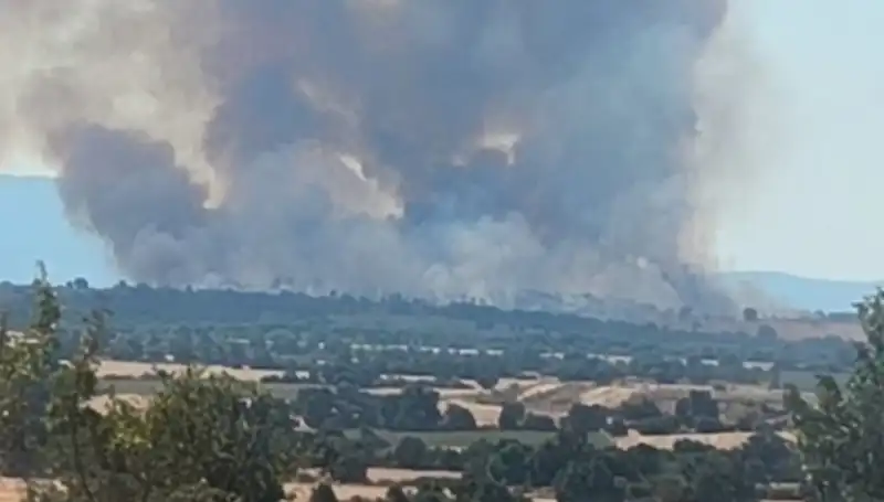 Komşu Orman Yangını Edirne’yi Tehdit Altına Aldı: Dumanlar Şehri Sardı